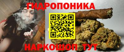 мдпв Новодвинск